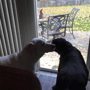 Meet your Posher, Allison